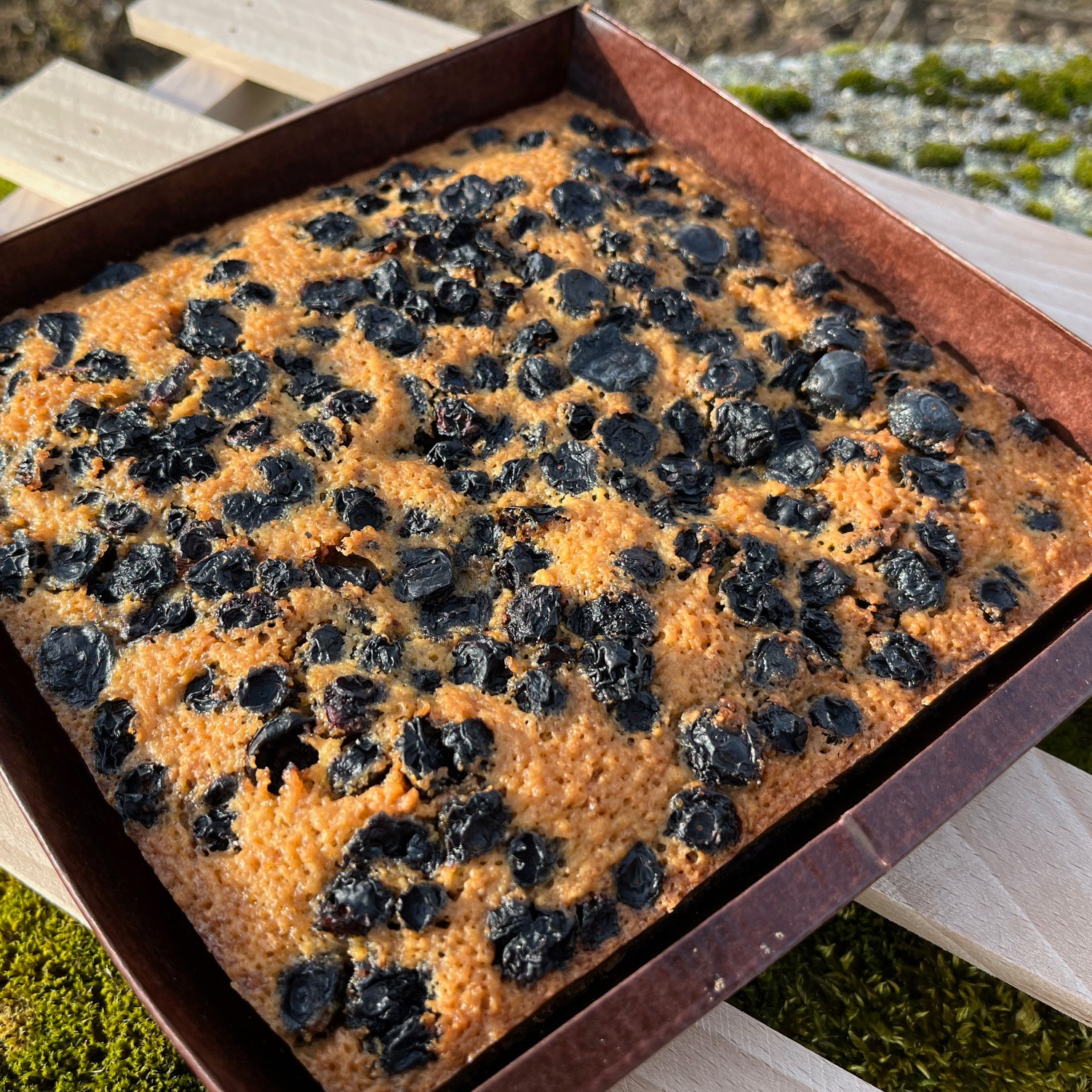 "Boussaquin": gâteau noisette & myrtilles déshydratées - 360g - 360g