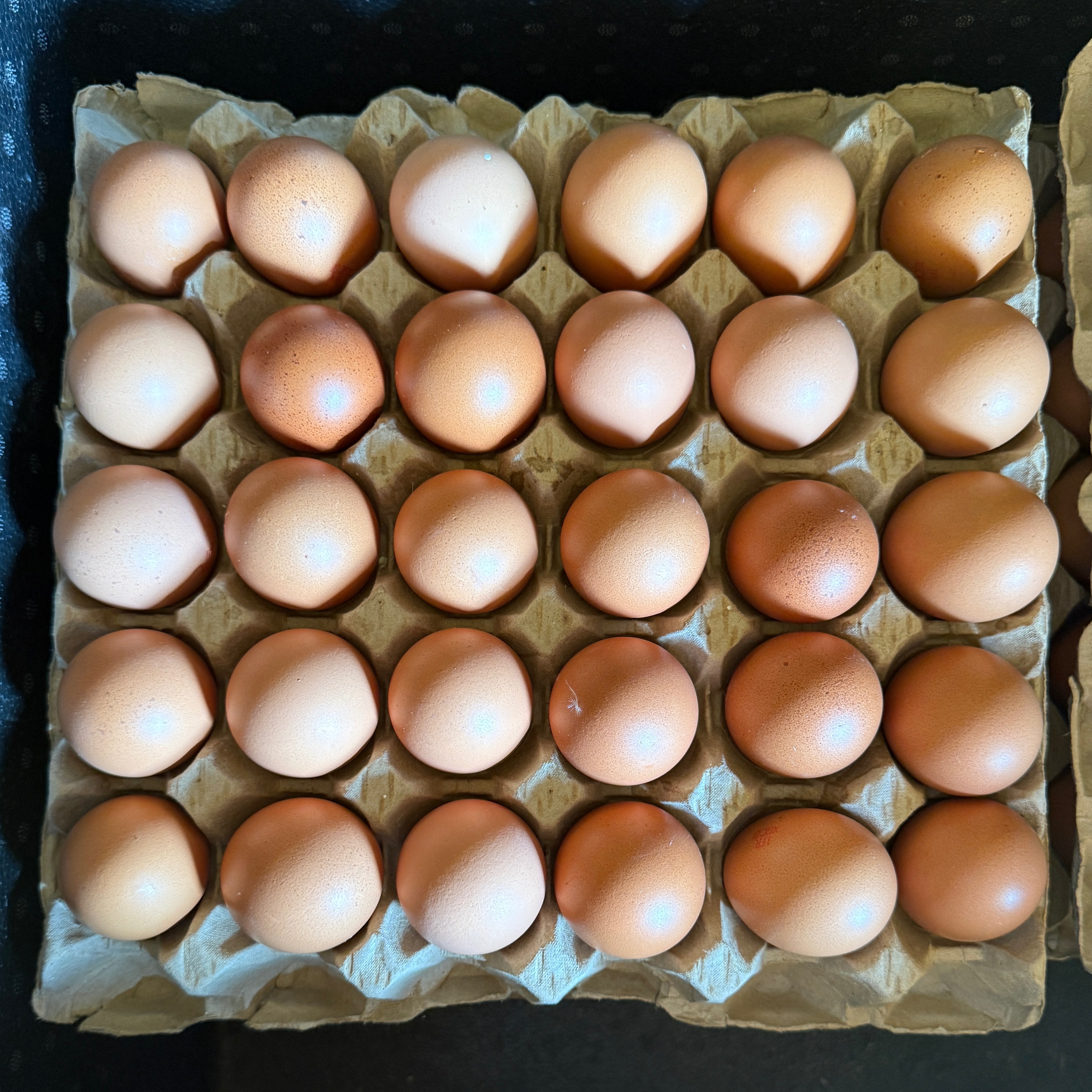 Oeuf fermier local plein air - le plateau de 30