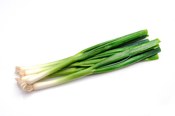 Oignon cébette