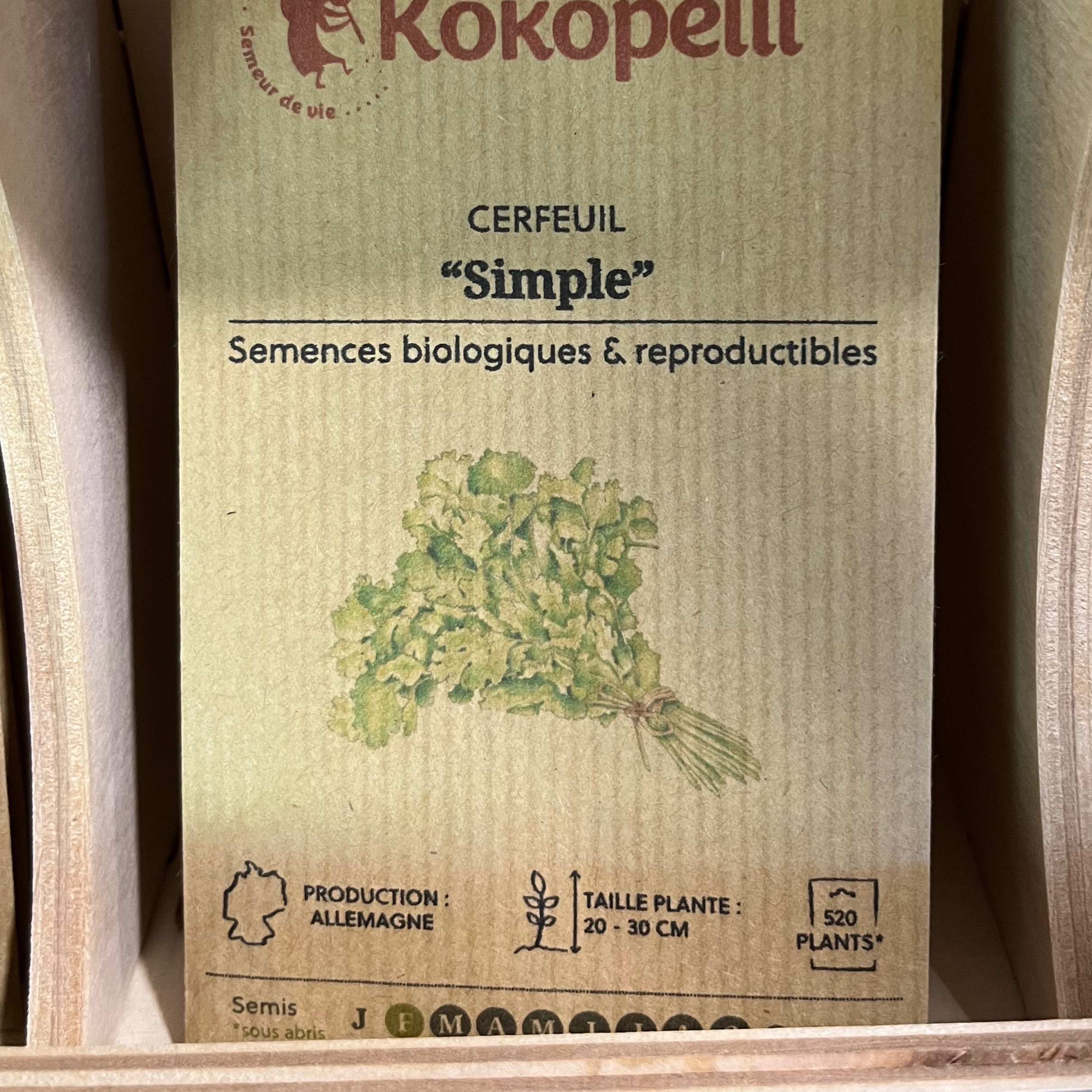 Cerfeuil "Simple"
