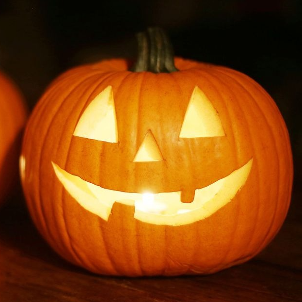 Courge Potiron Jack'O'Lantern (1Kg)