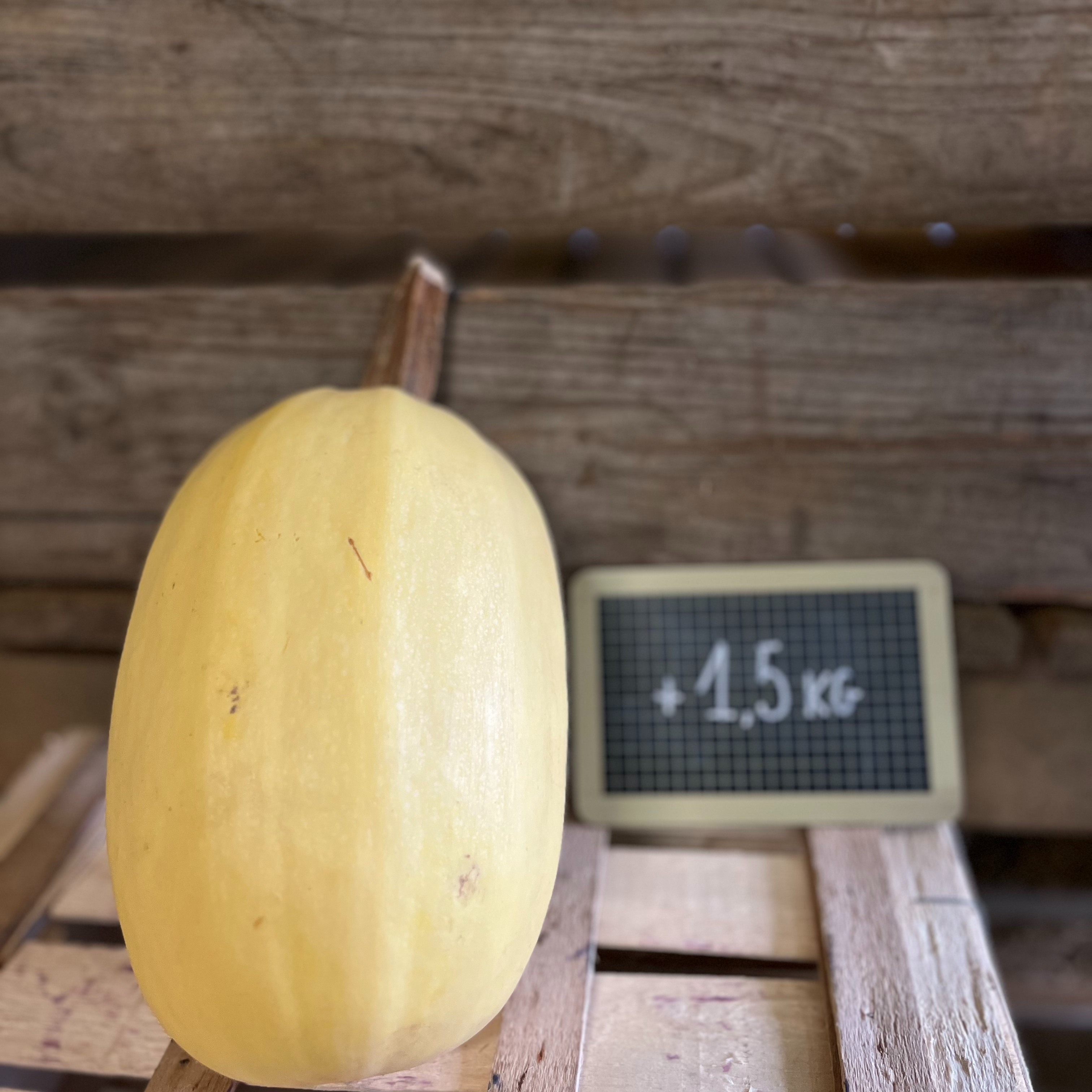 Courge Spaghetti (grand)