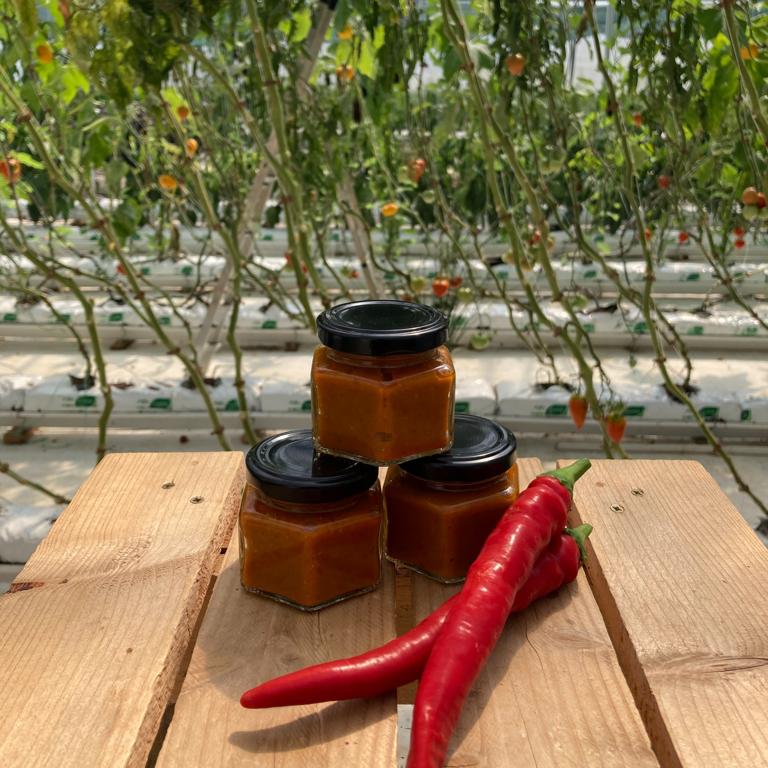 Purée de piment (Doux)