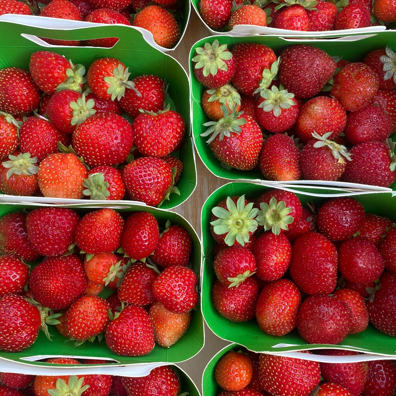 Fraise Charlotte barquette - 250g