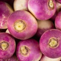Navet Violet