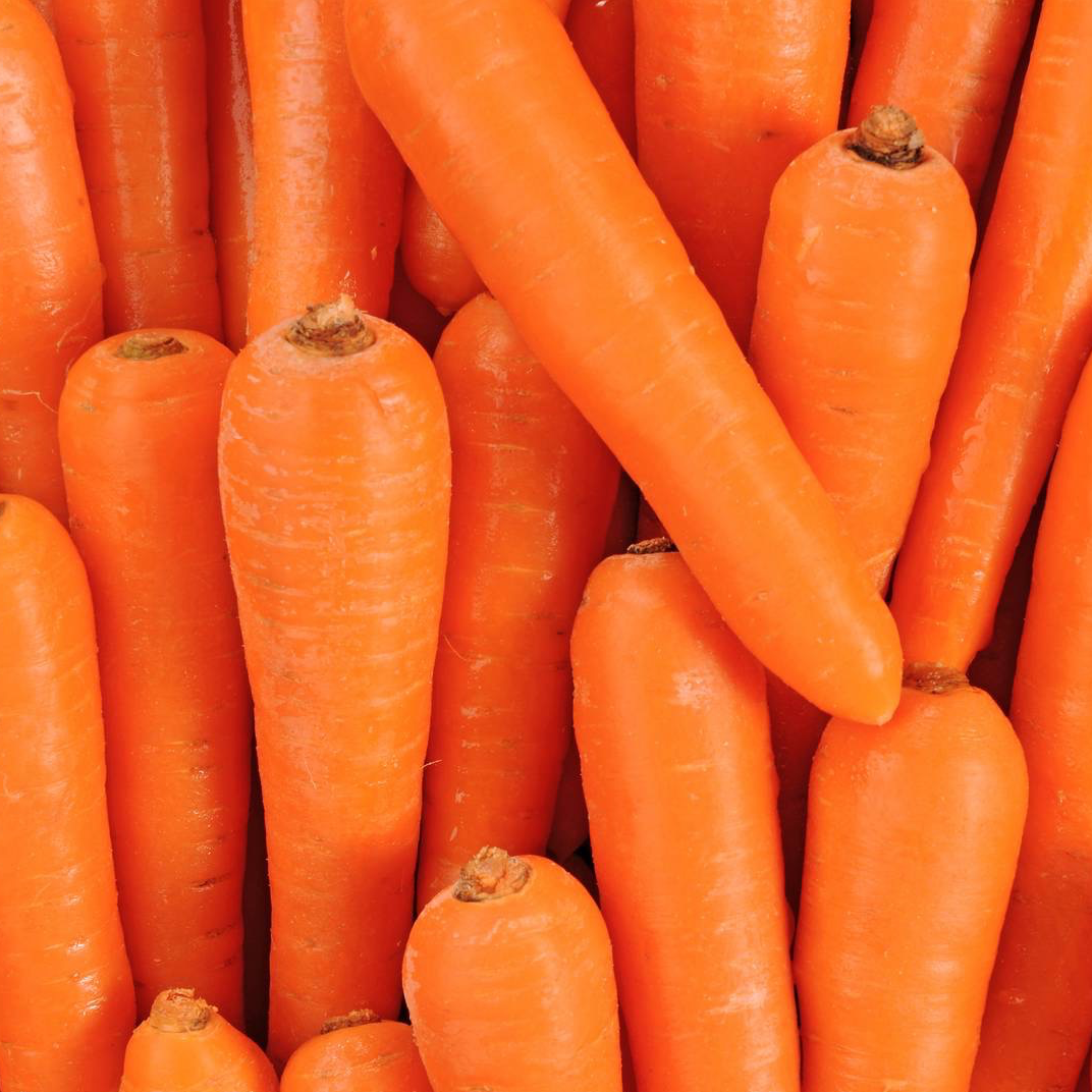 Carotte lavée