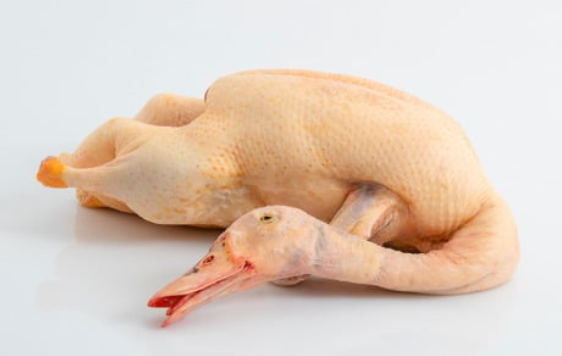 Canard Gras Sans Foie