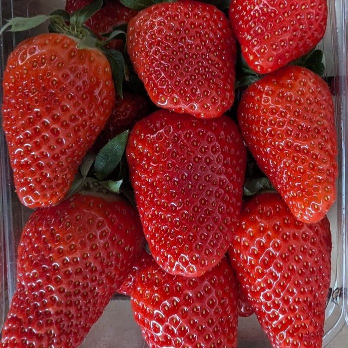 FRAISE CLAIRY - 500g