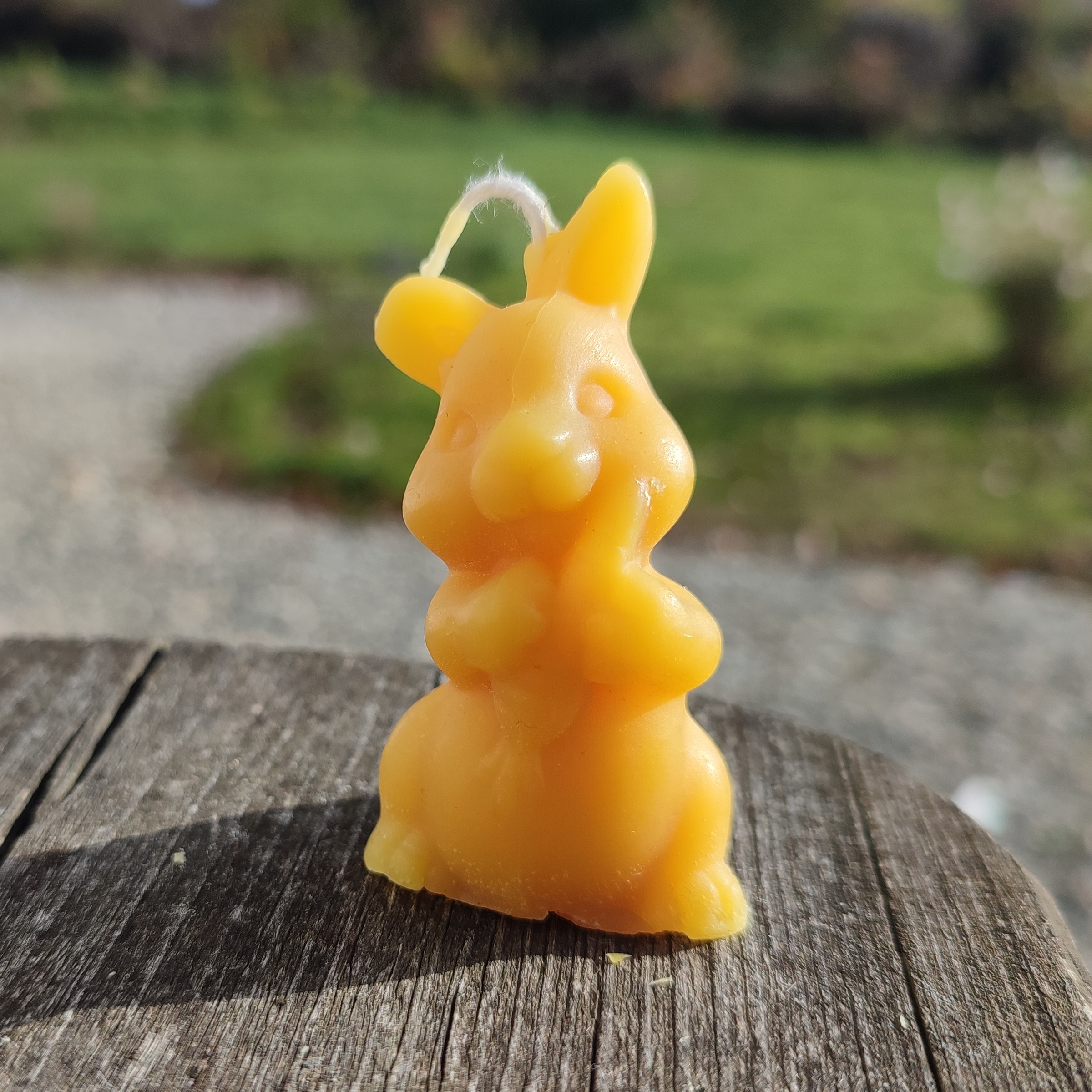 Lapin carotte