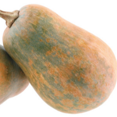 Courge Sucrine du Berry - 1,5kg