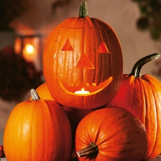 Courge Jack O'Lantern en godet 8 cm