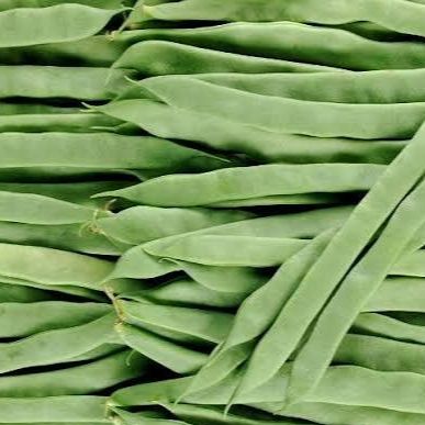 Haricot Plat - 0,2kg