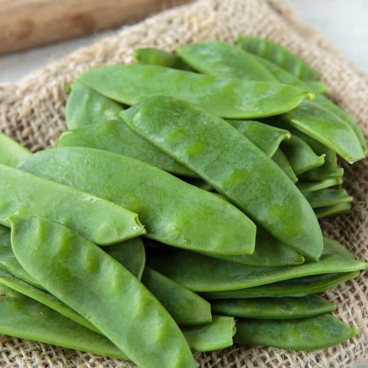 Pois mange tout plat