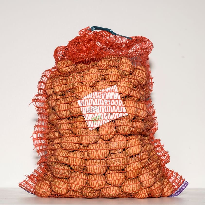 Noix Sèches en coques BIO* - 5kg