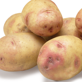 Pomme De Terre Tendre (Carolus) - 1kg