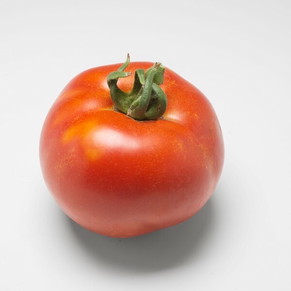 Plant Tomate Montfavet - 300g