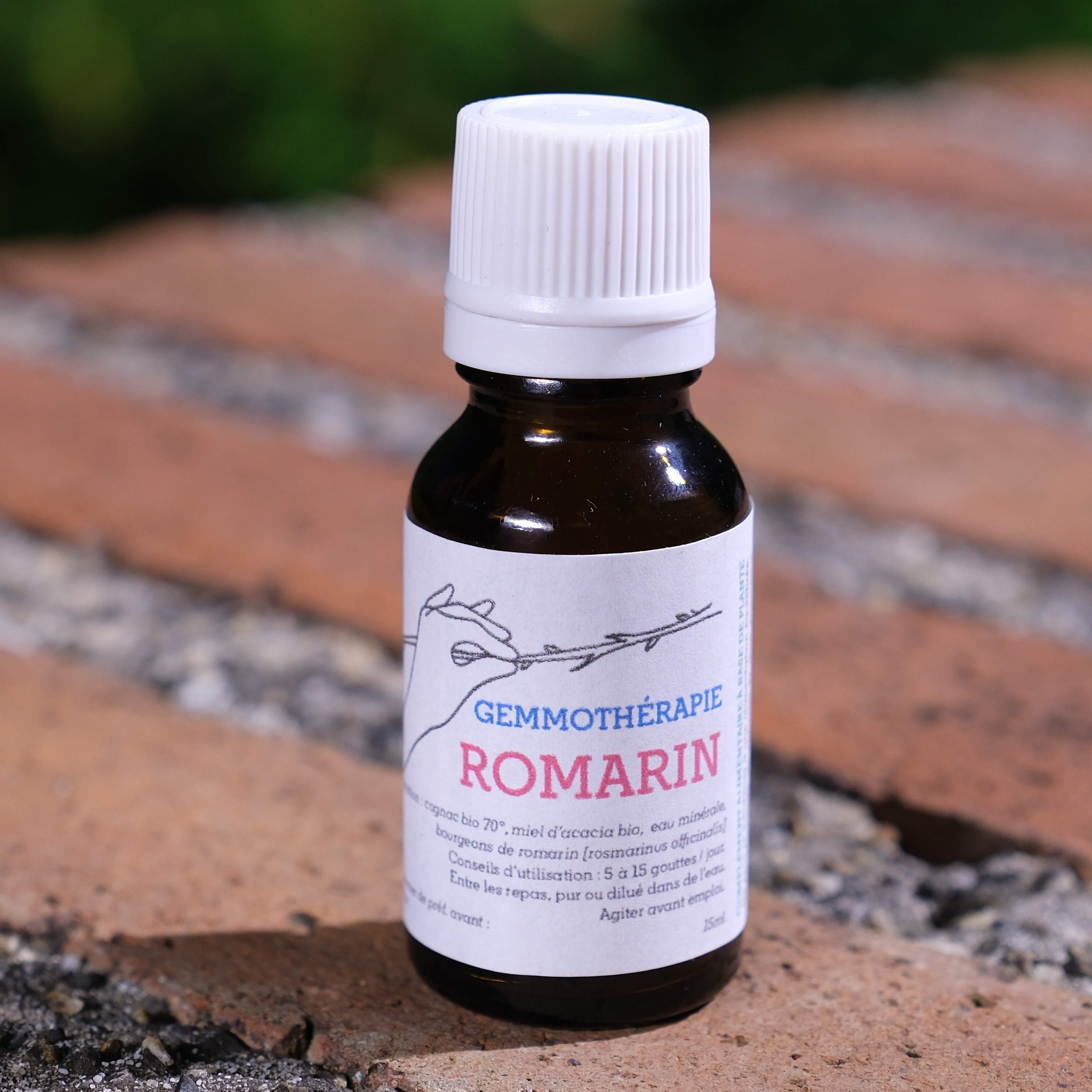 Romarin • Antioxydant, Tonique général & Foie - 15ml