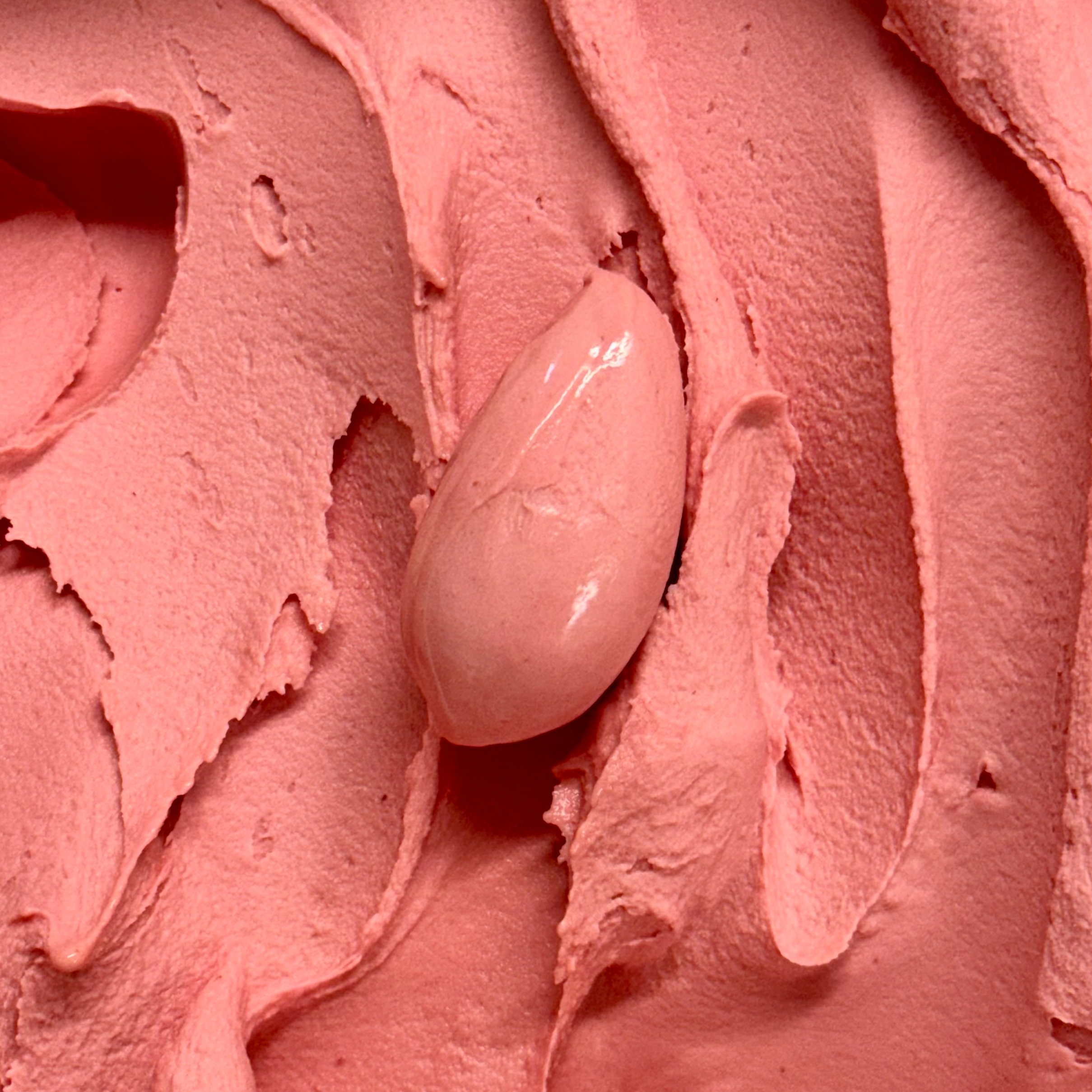 Sorbet Fraise - 0,5l