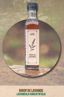 Sirop de lavande officinale - 250ml