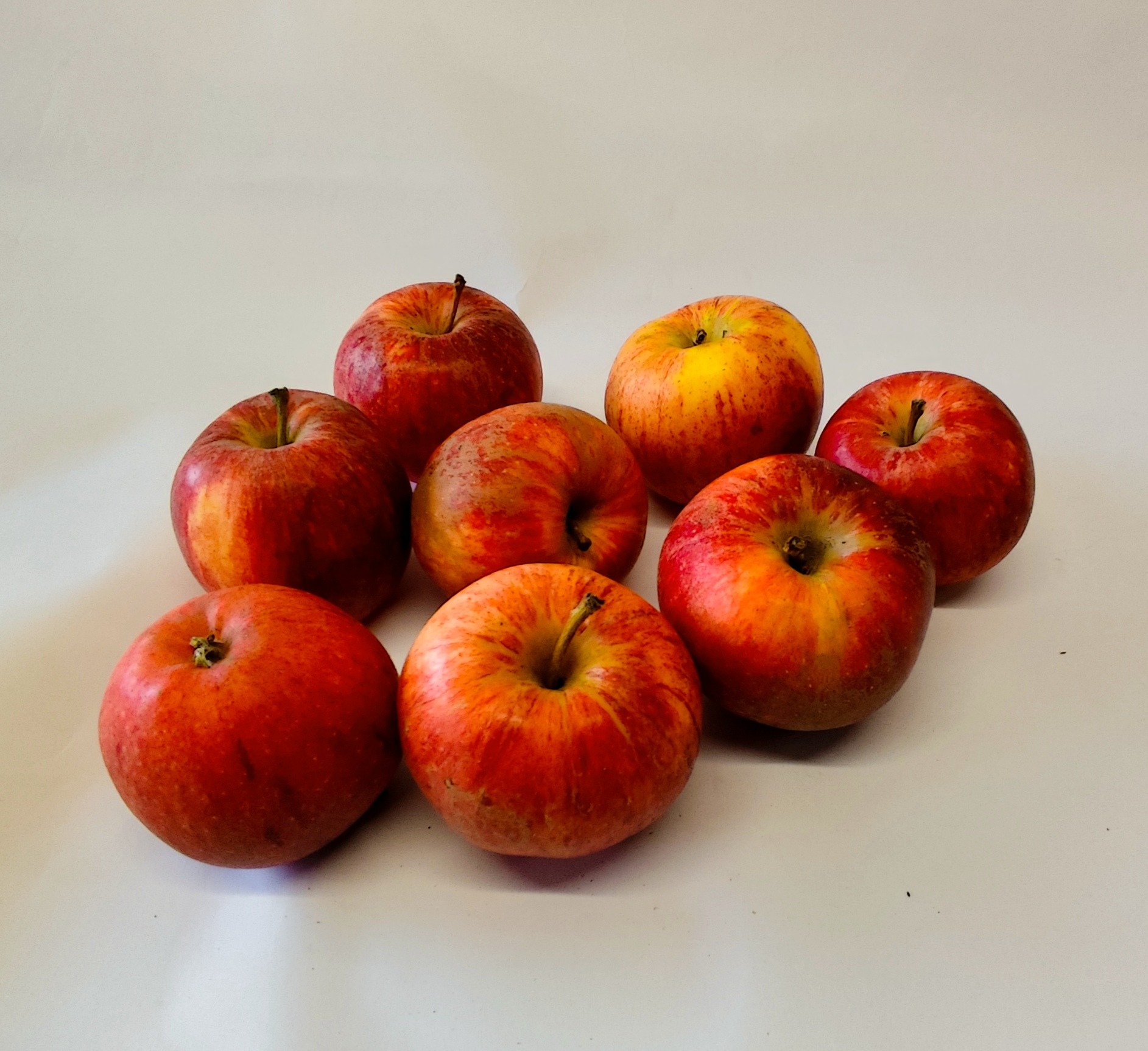 Pomme Gala 0,5 KG