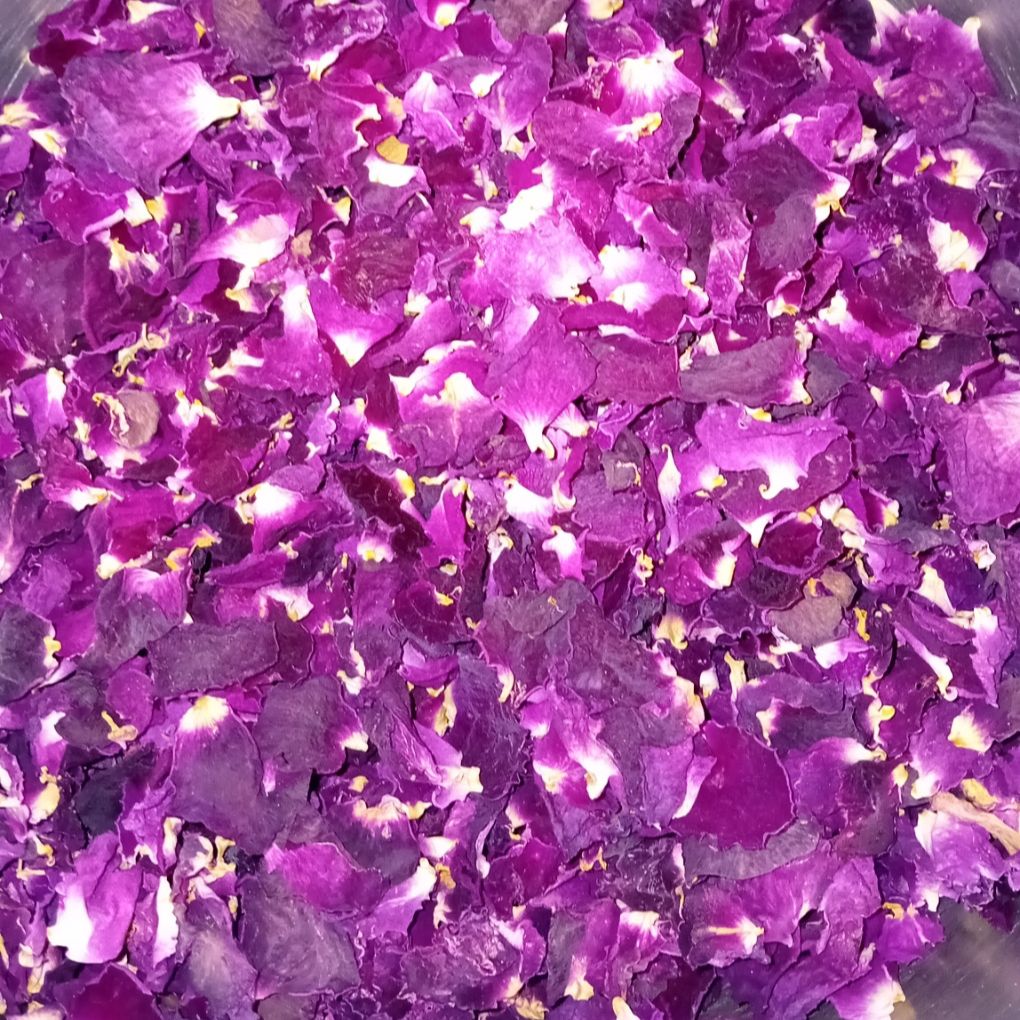 Pétales de Roses de Provins - 20g