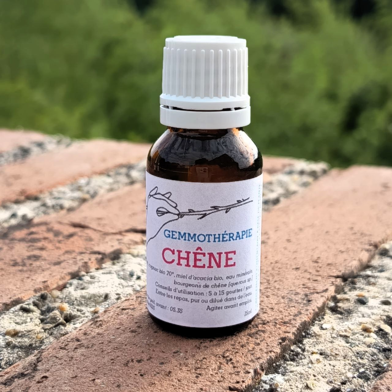 Chêne • Tonique & Revitalisant - 15ml