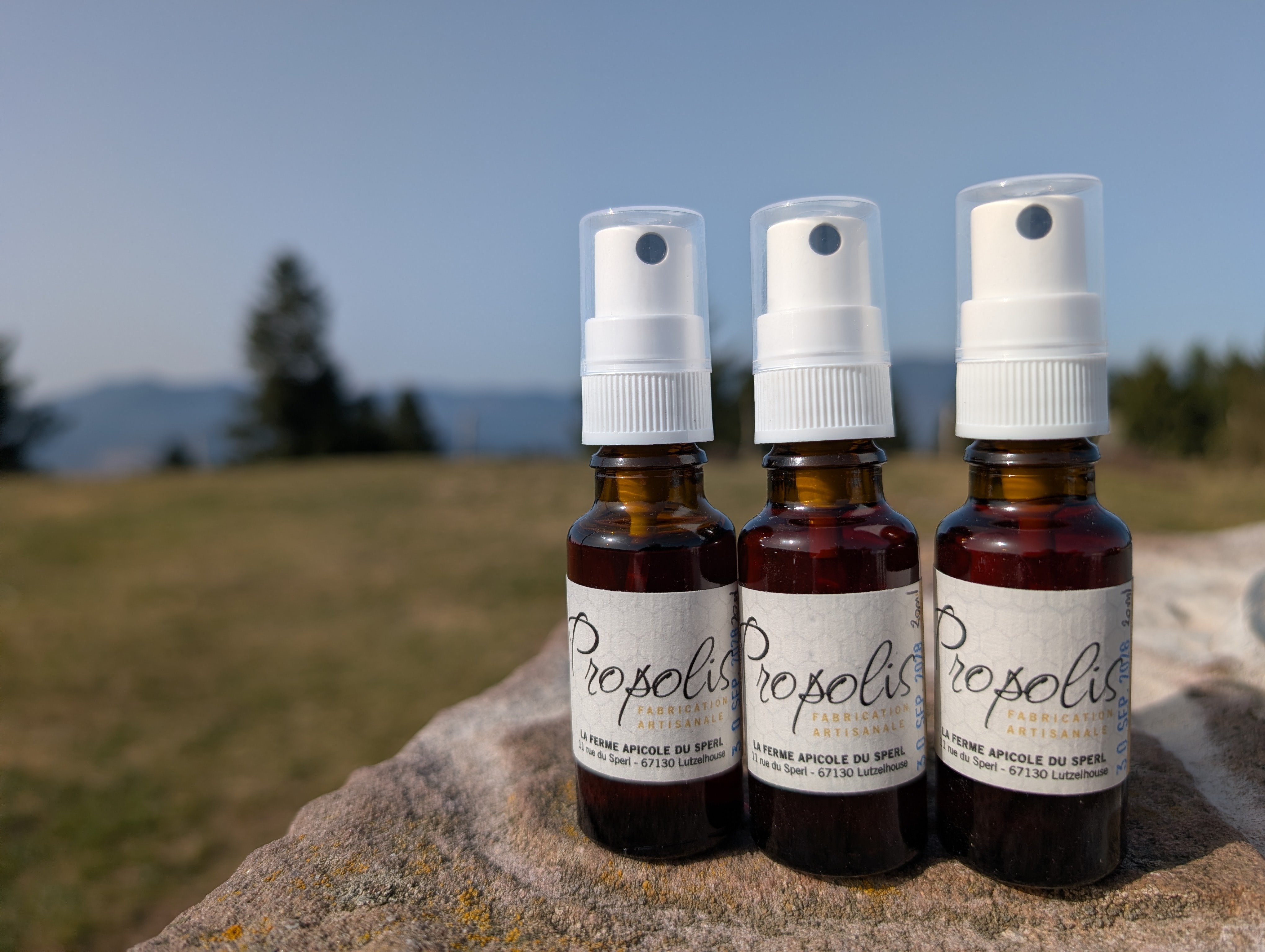 Propolis - 20ml