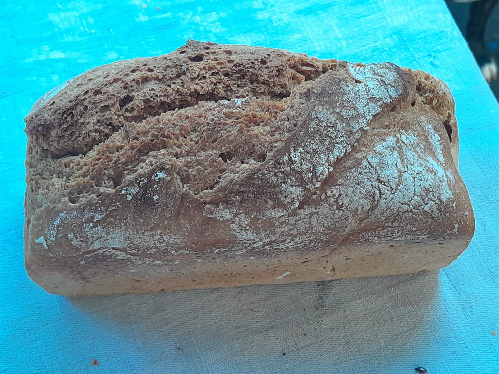 Pain d'engrain (petit épeautre) variété non hybridée - 500g