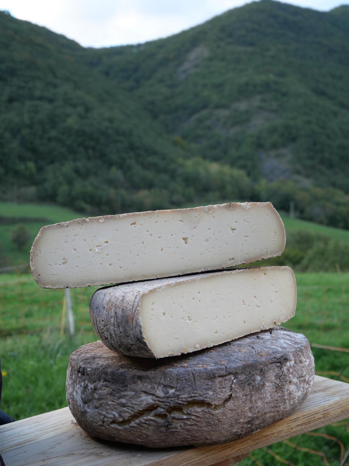 Tomme de chèvre