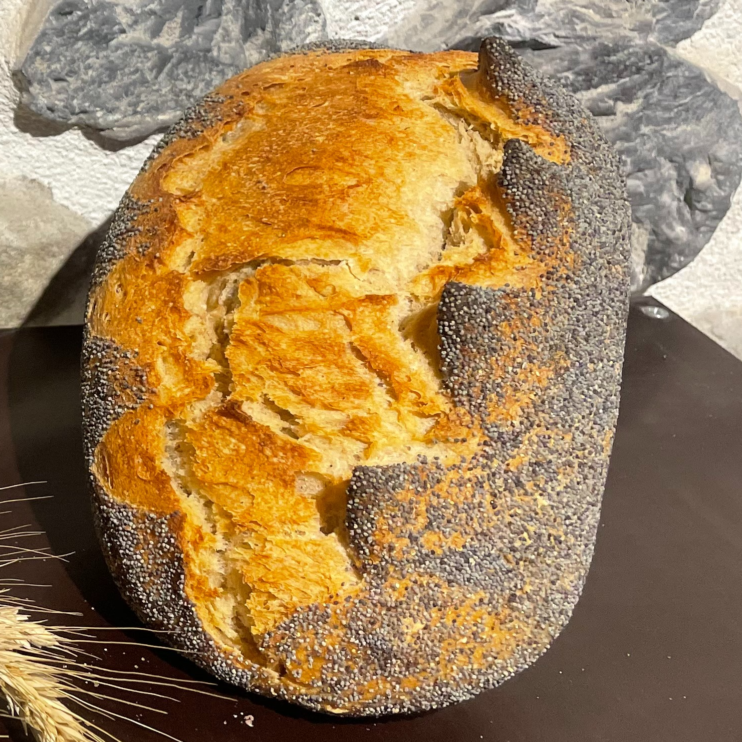 Pavot - 500g