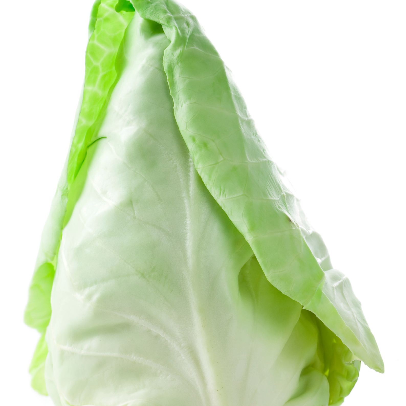 Chou pointu - pièce (+ de 1kg)