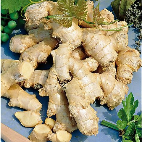 Gingembre (100gr)
