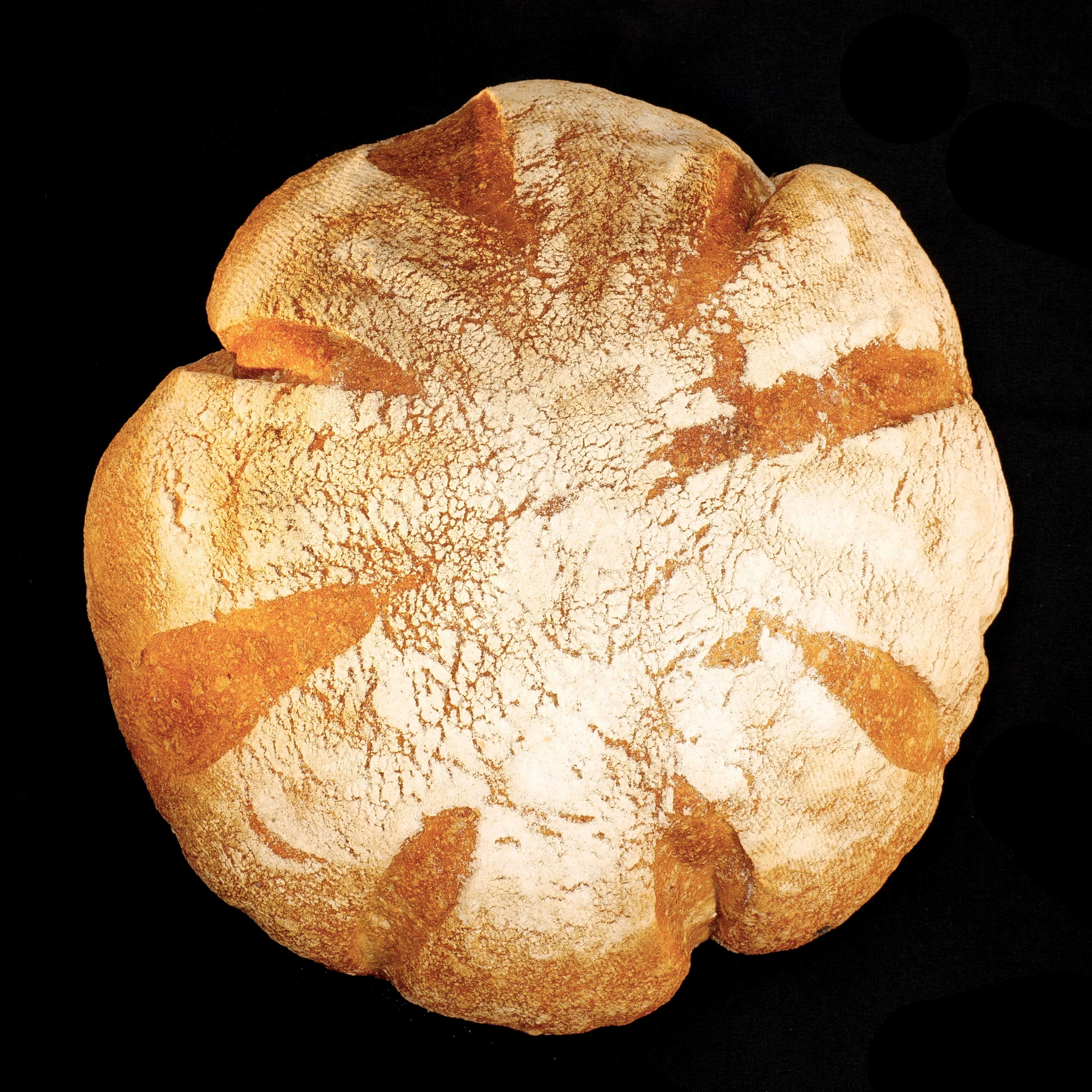 Pain de Blé des Alliés (blé ancien), 500g - 500g