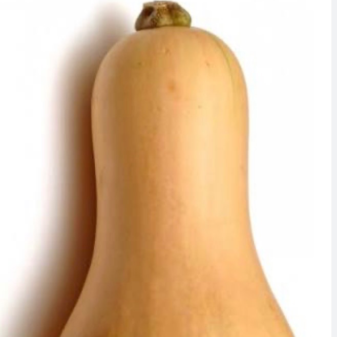 Butternut