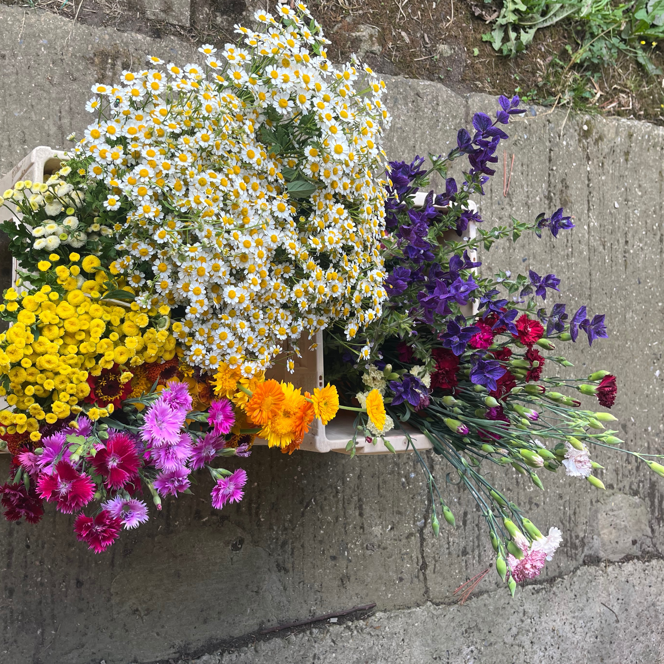 SEAU DE FLEURS DE SAISON - Taille L