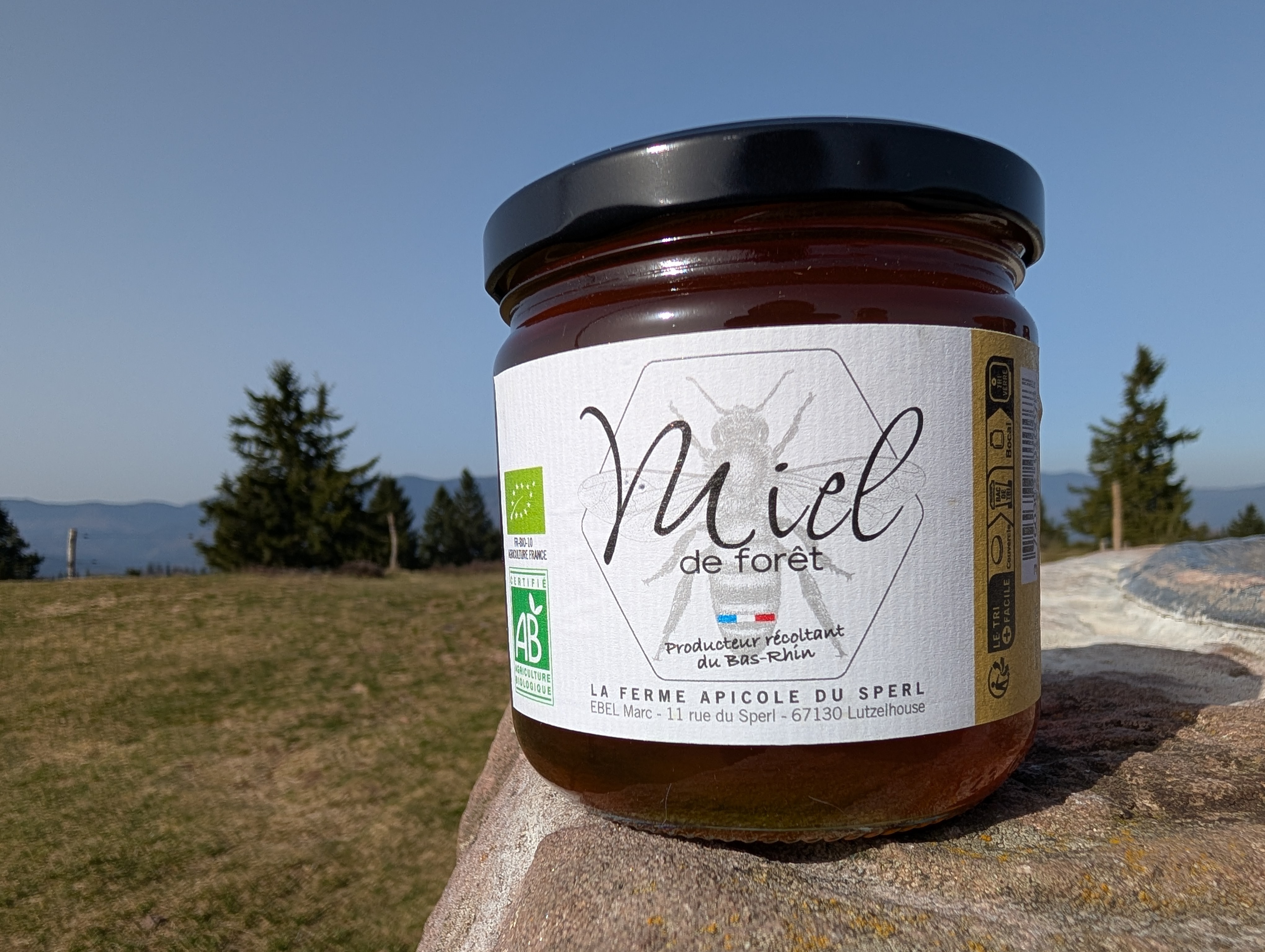 Miel de Forêt - 250g