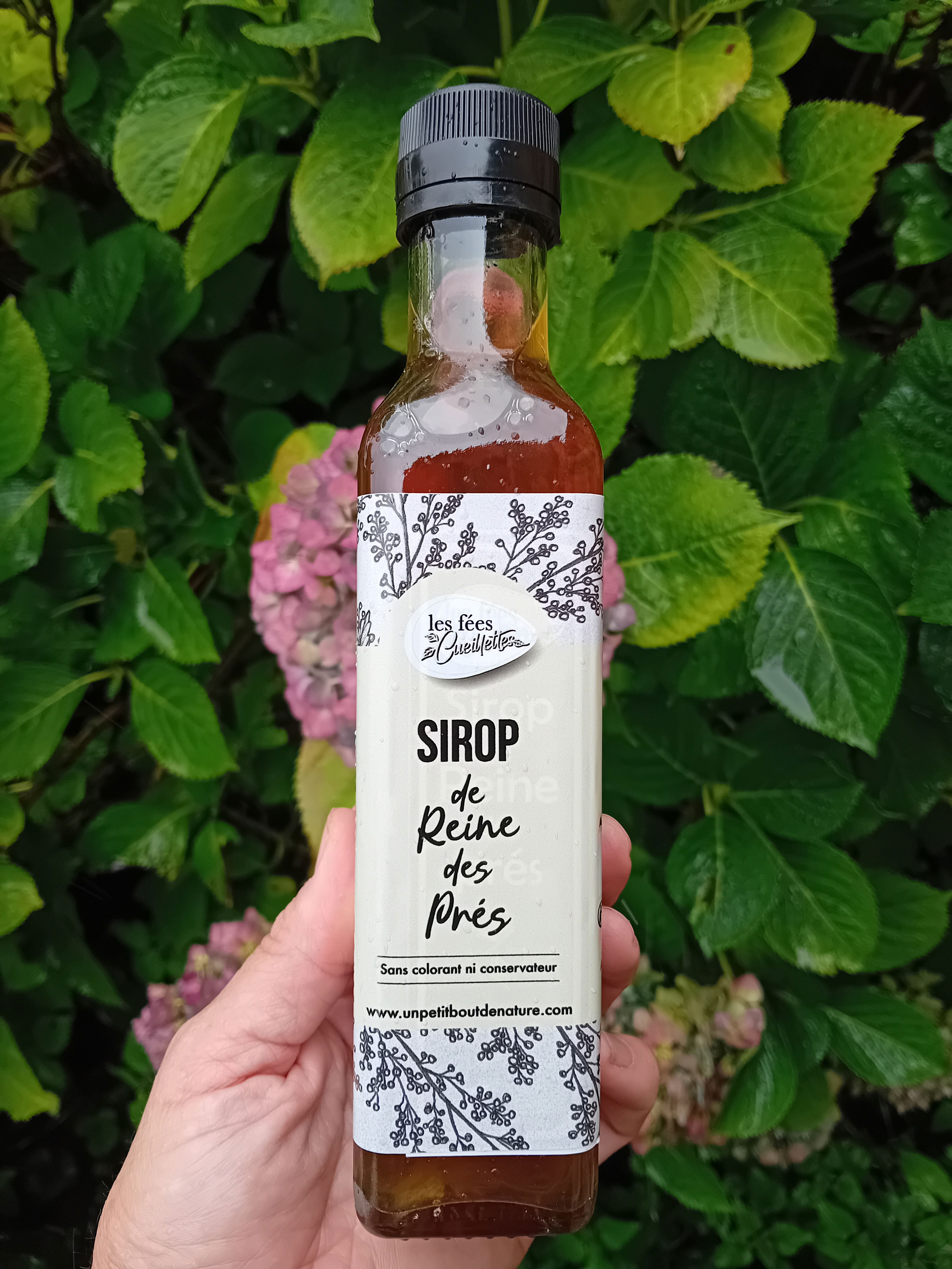 Sirop de reine des prés - 500ml