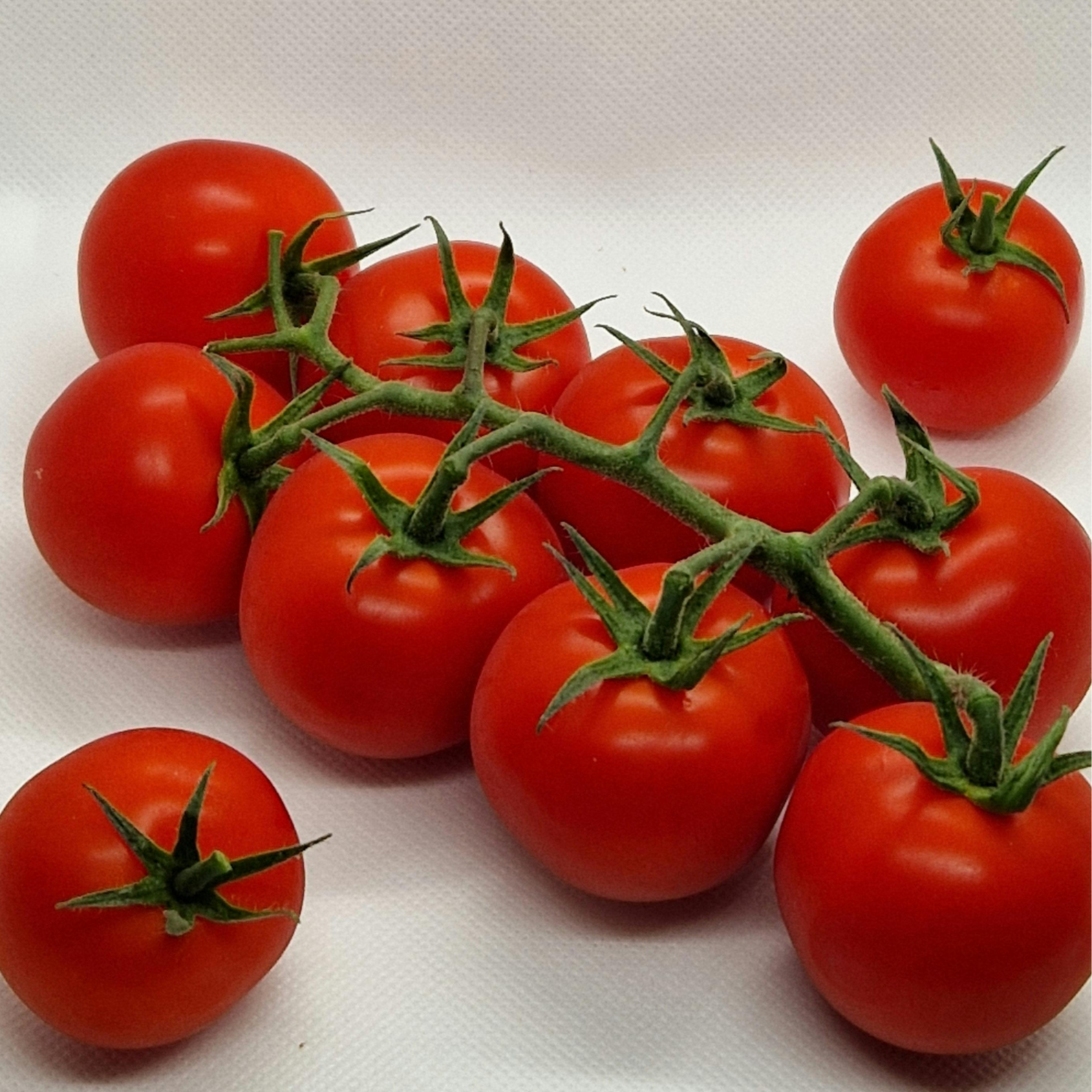 Tomate cerise cocktail 500g