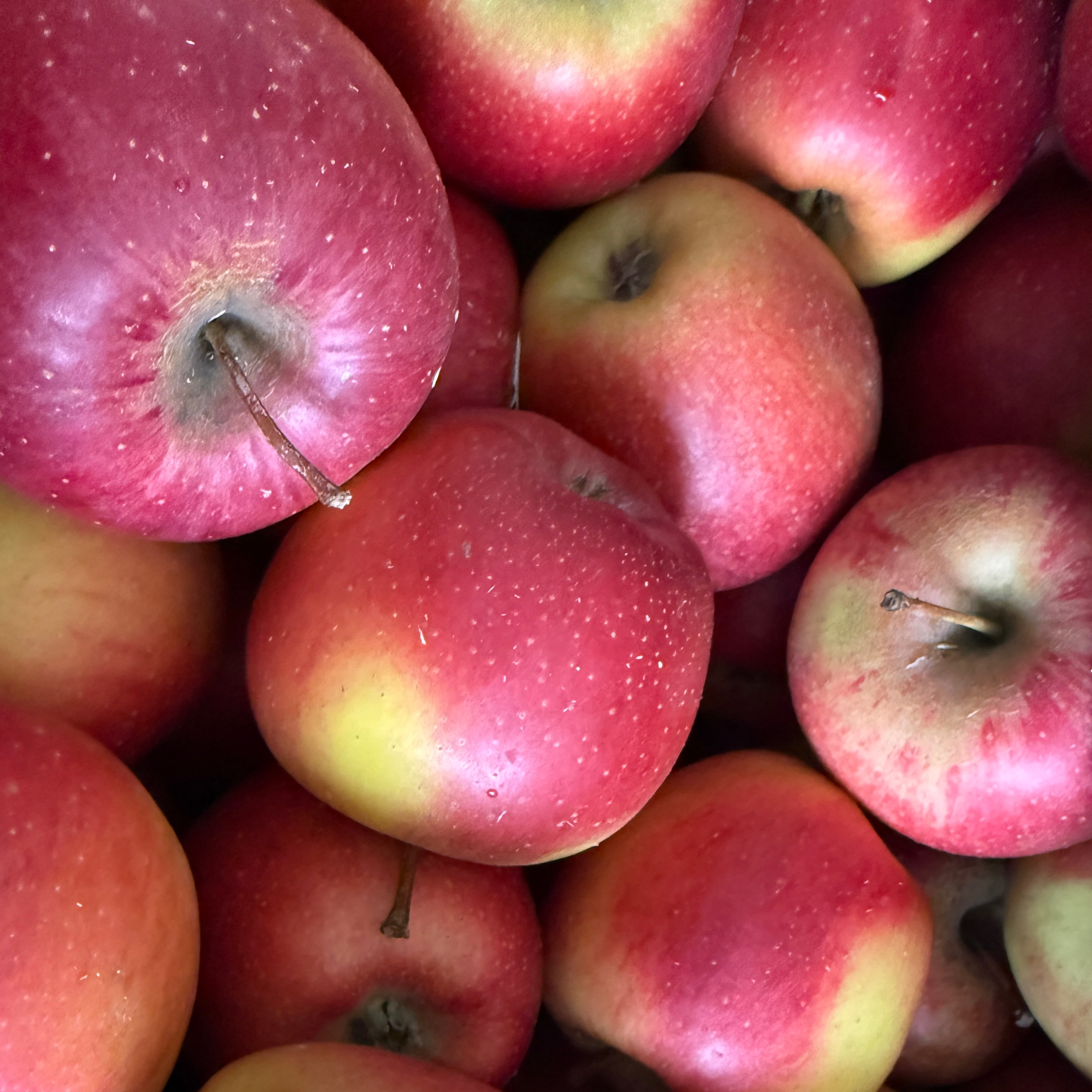 Pomme Juliette - 13kg