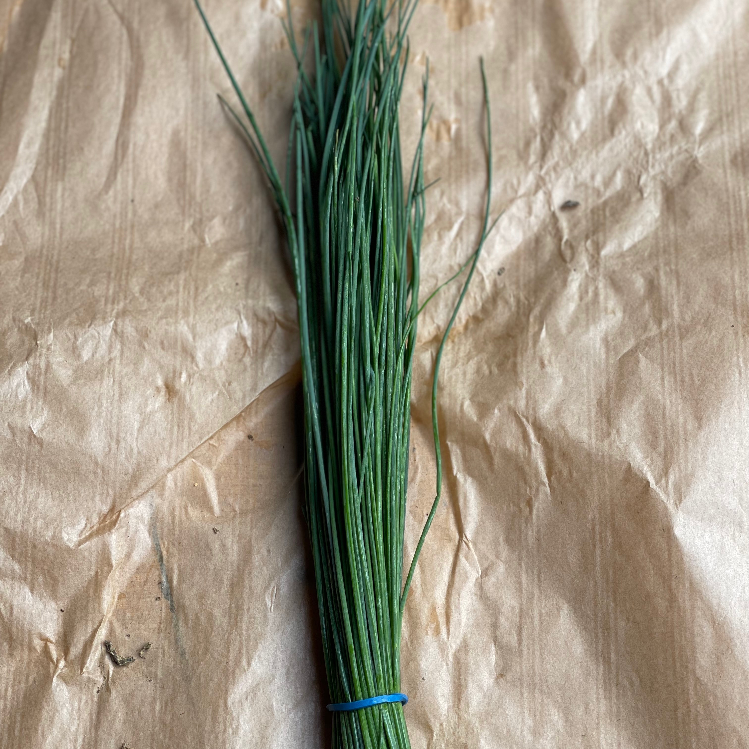 Ciboulette paquet pièce