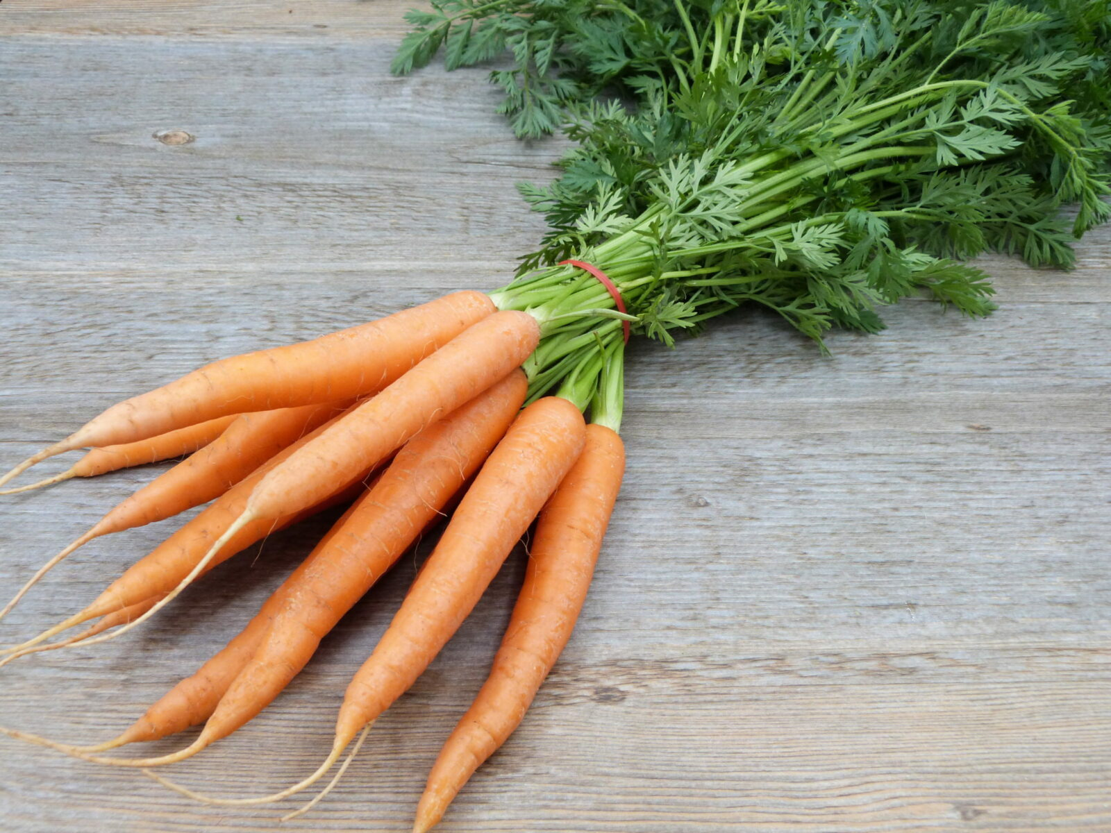Carottes Botte - 500g