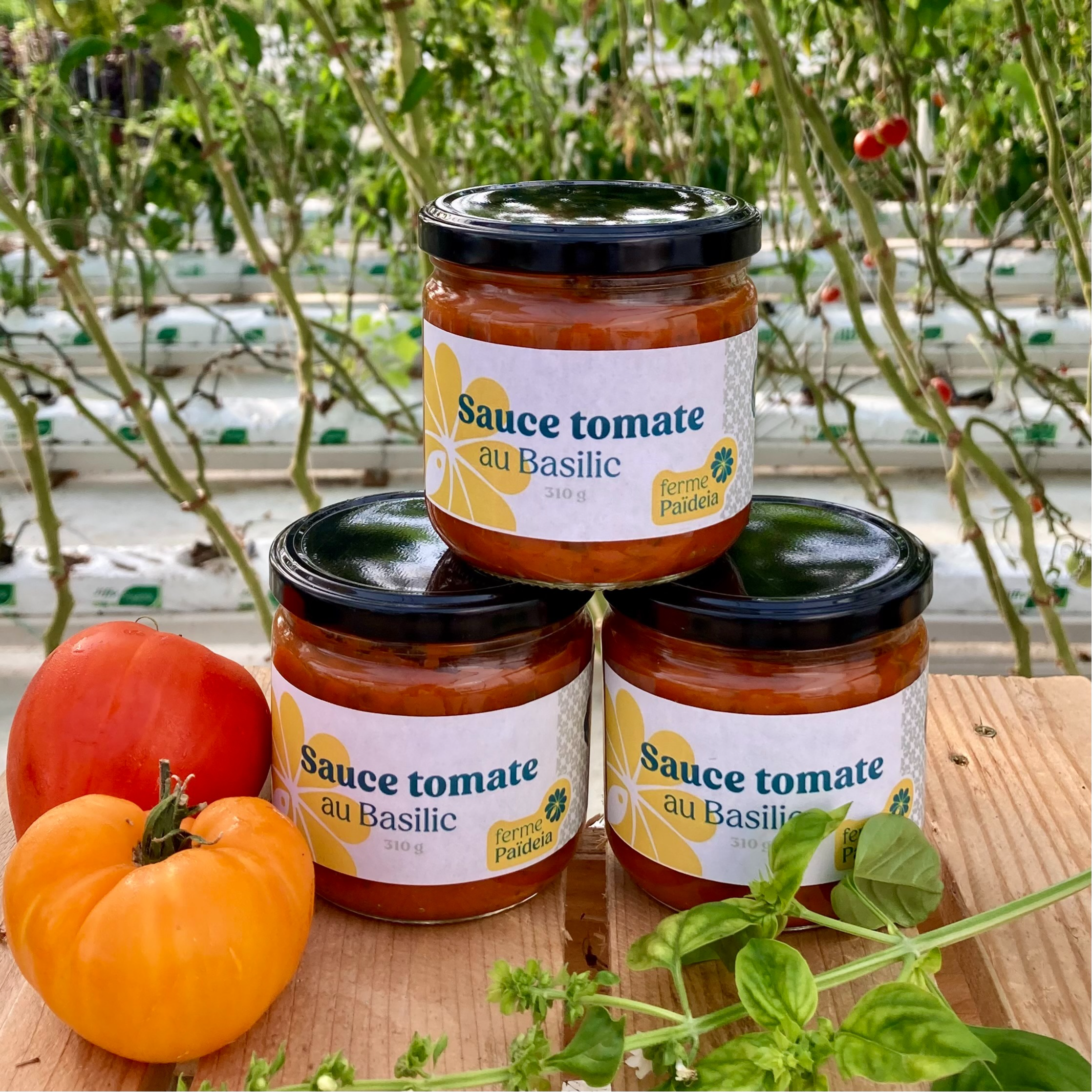 Sauce tomate Basilic