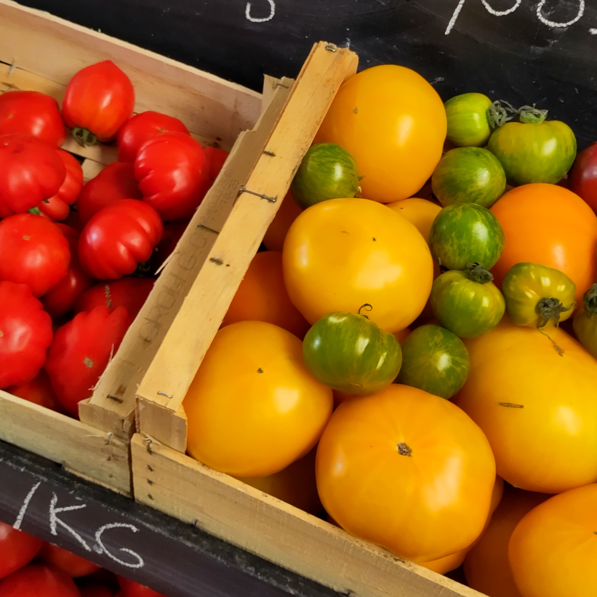 Tomate spéciales BIO