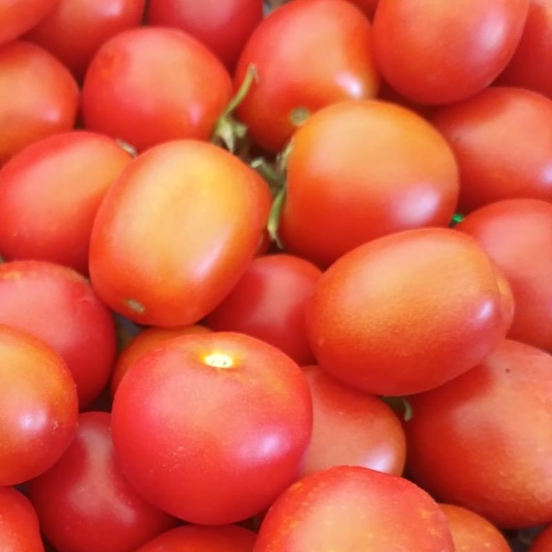 Tomate cocktail rouge - Sachet - 500g