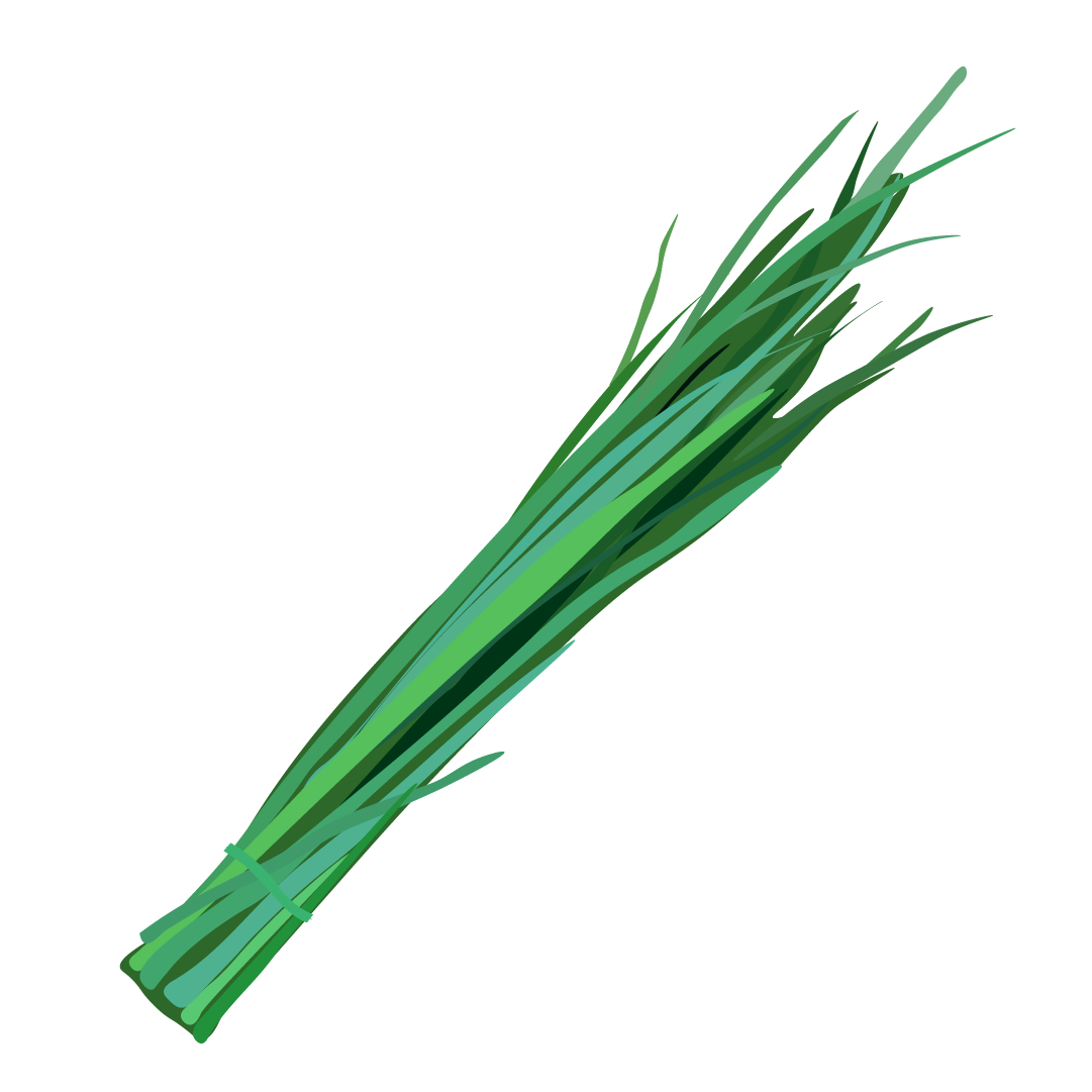 Aromatique Ciboulette de Chine botte - 30g