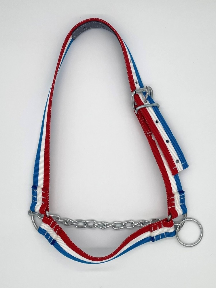 Licol bovin avec chaine Taille 1 - 489g