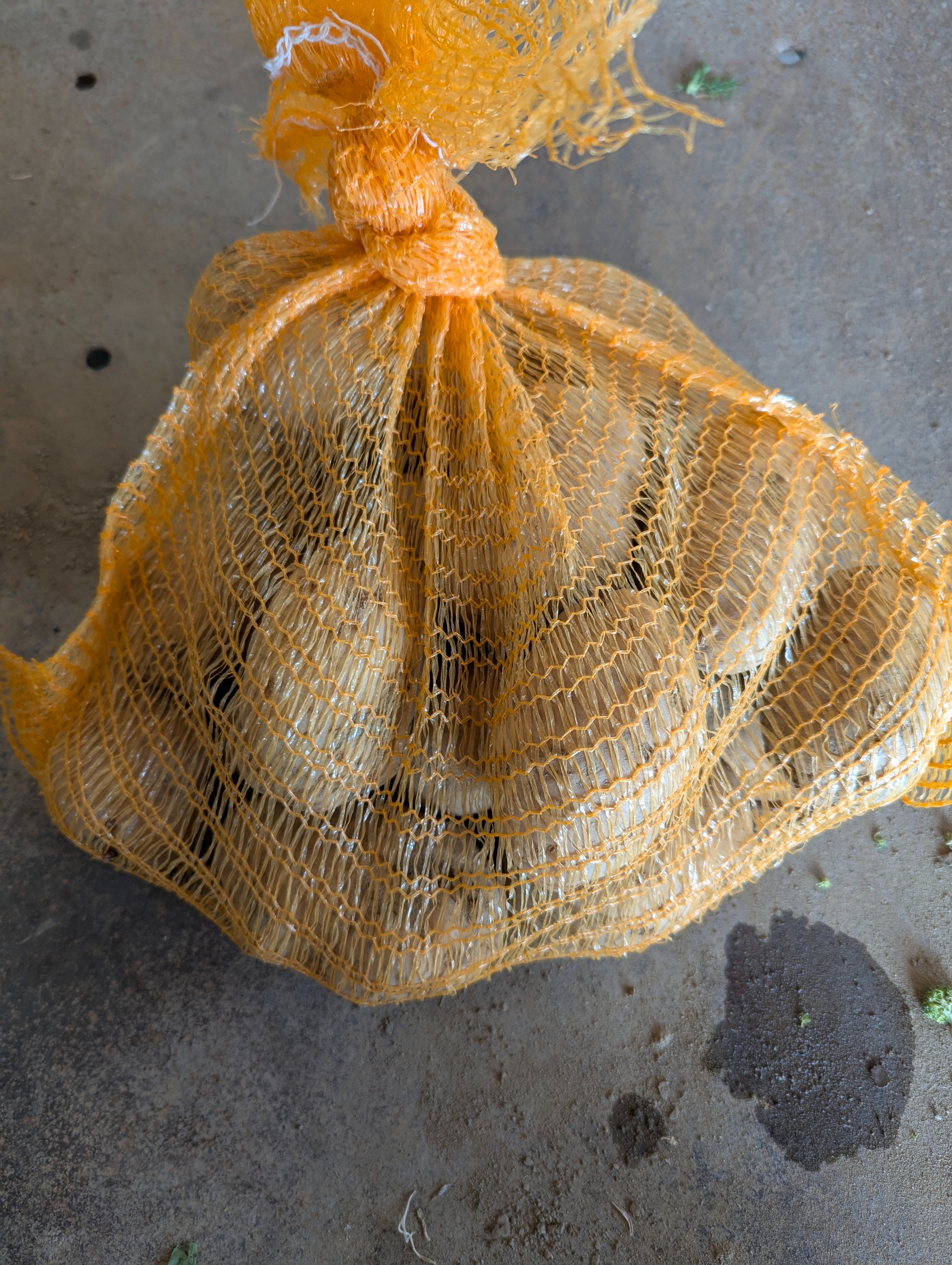 SAC POMME DE TERRE en 3 kg NON LAVEE Mona Lisa