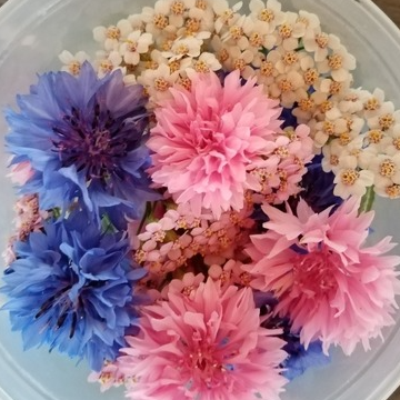 Fleurs Comestibles (Boite)