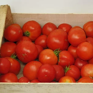 Plateau de 4 kg de tomates rondes - 4kg