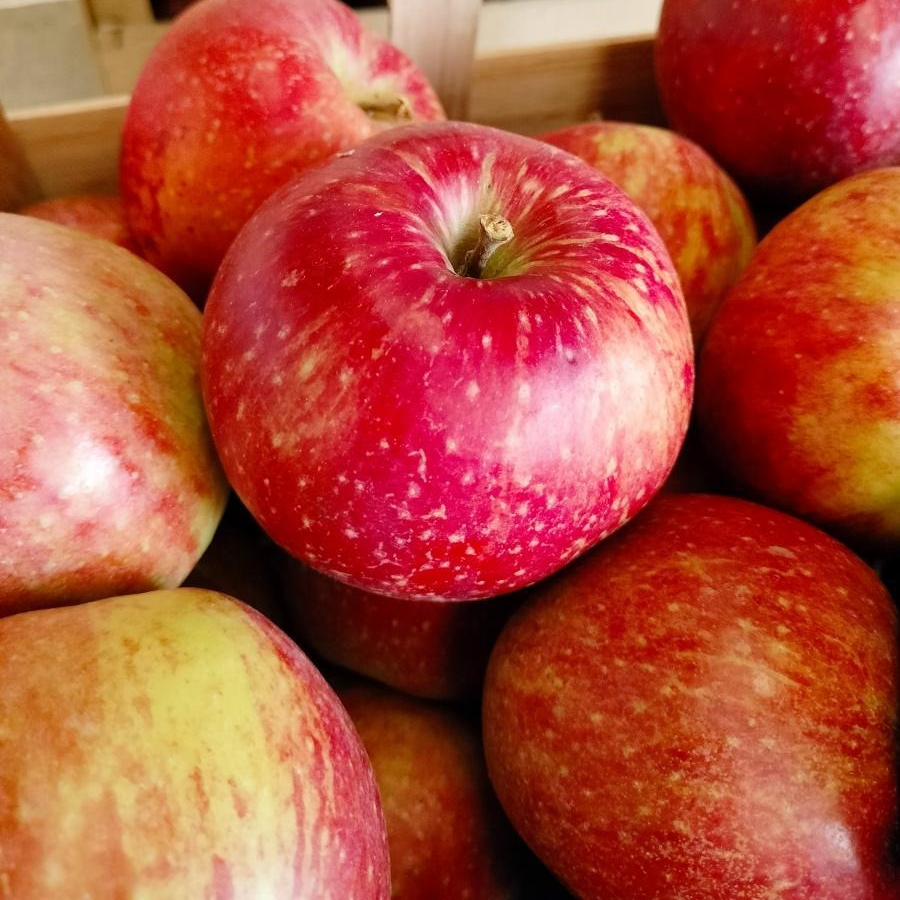 Pomme Daliryan (Clos de Rochy) - kg
